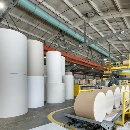 Paper & Pulp Industry